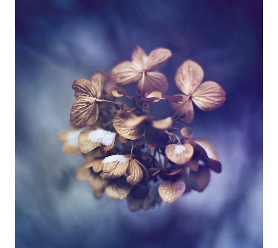 Quá tuyệt vời luôn