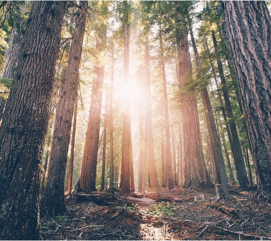 Sản phẩm rất tốt